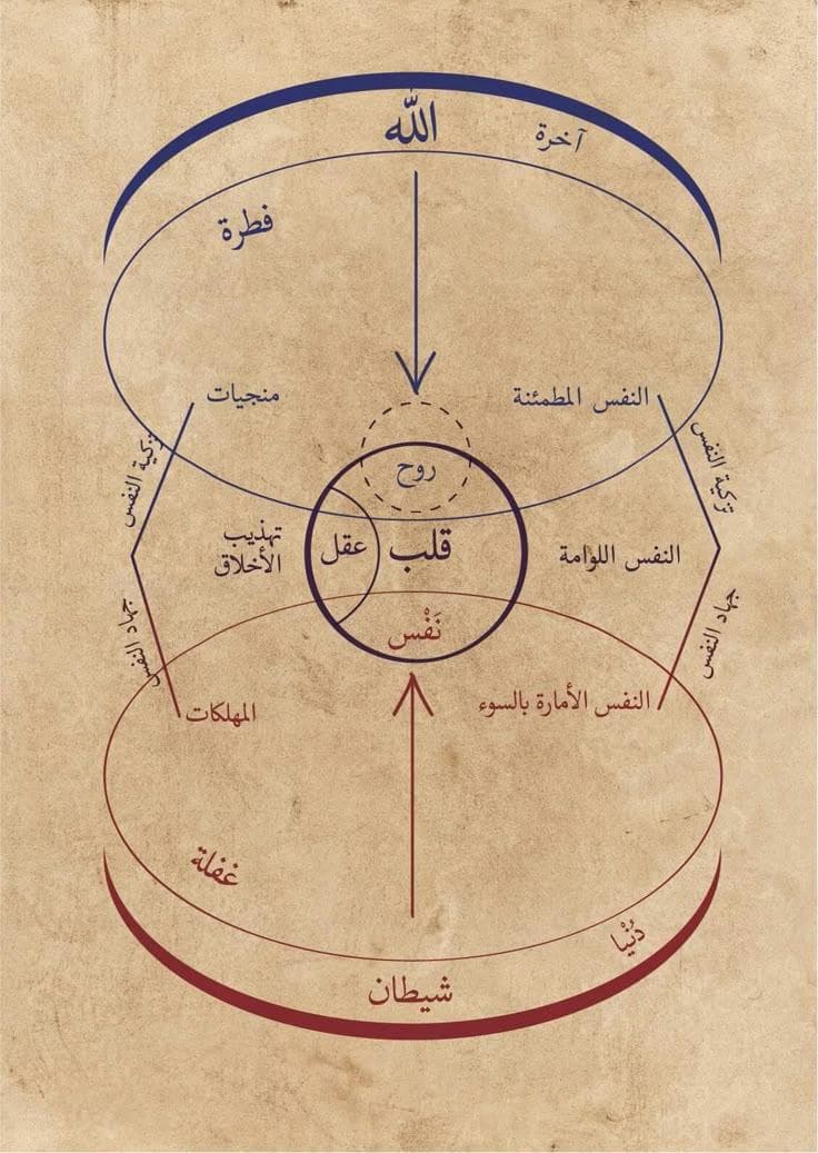 العلم اللدُنّي عند الصوفية: تحرير المفهوم، وبيان الشُّبهات، وتقويم المنهج